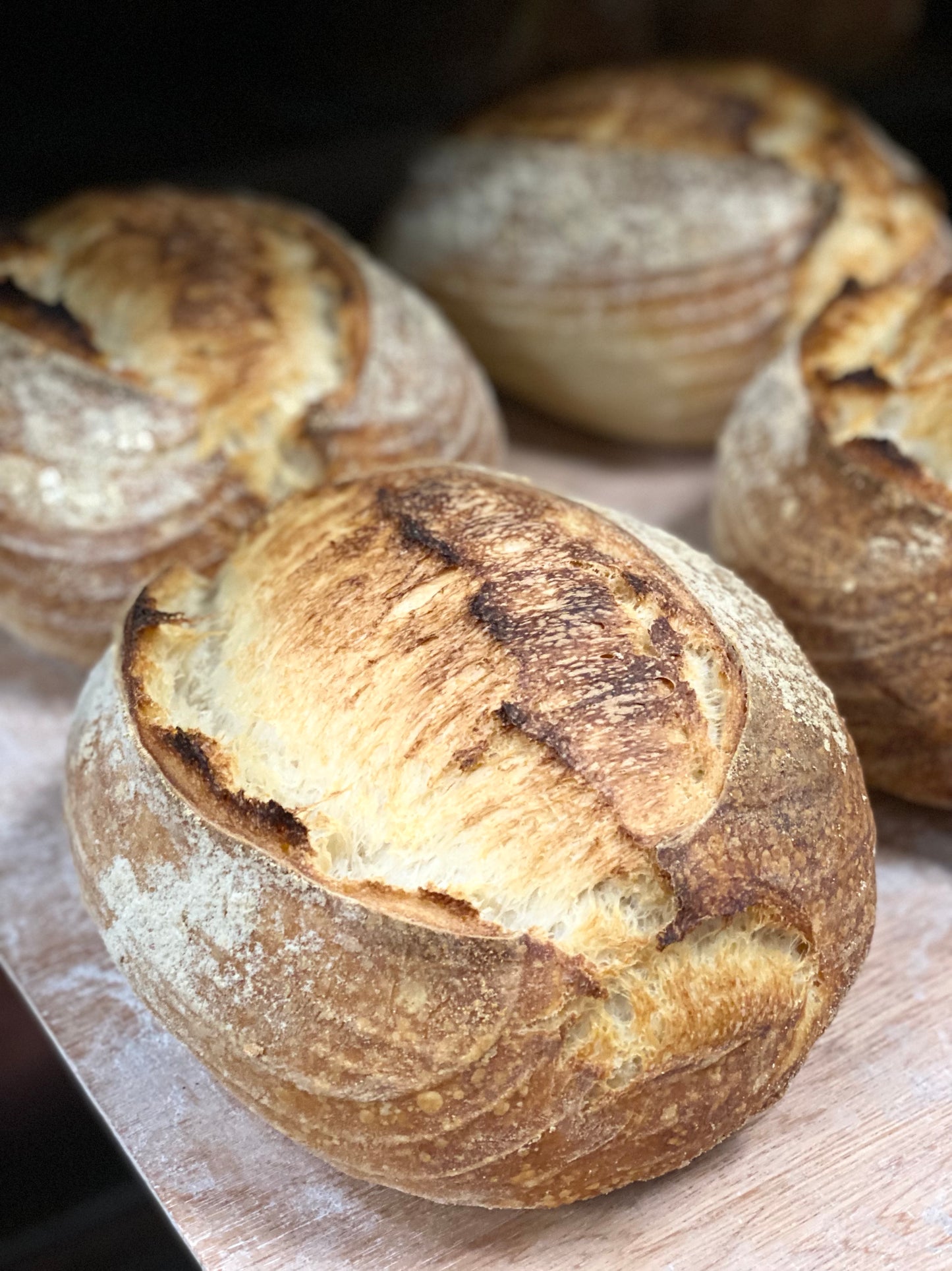 Sourdough