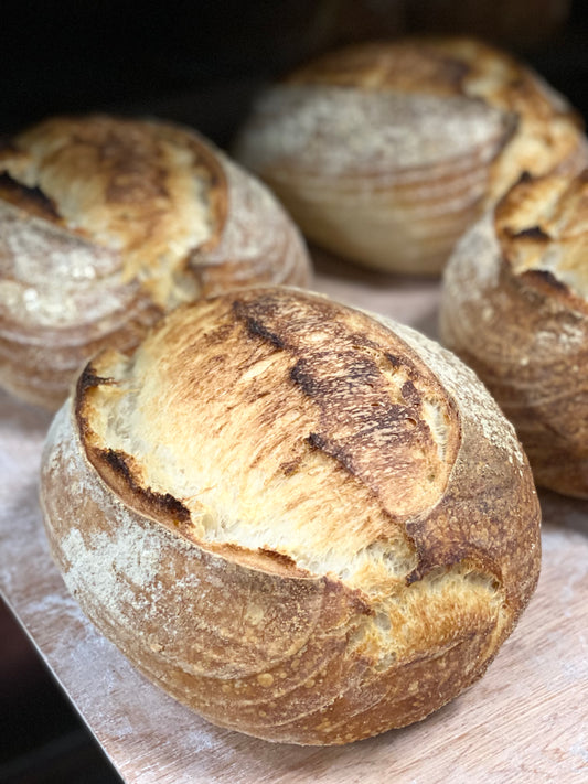 Sourdough